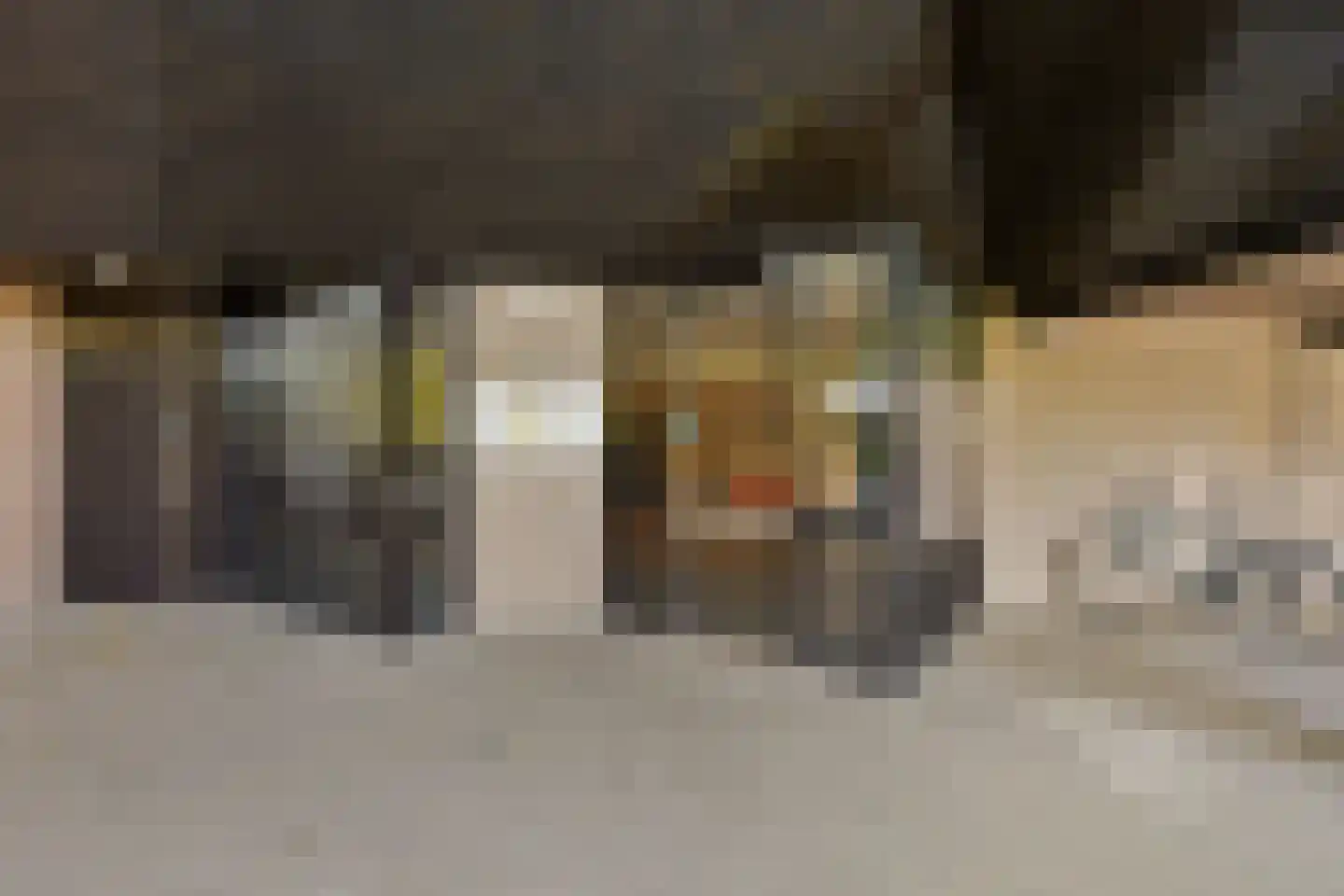 Scottlaan 236 Eindhoven thumbnail 5