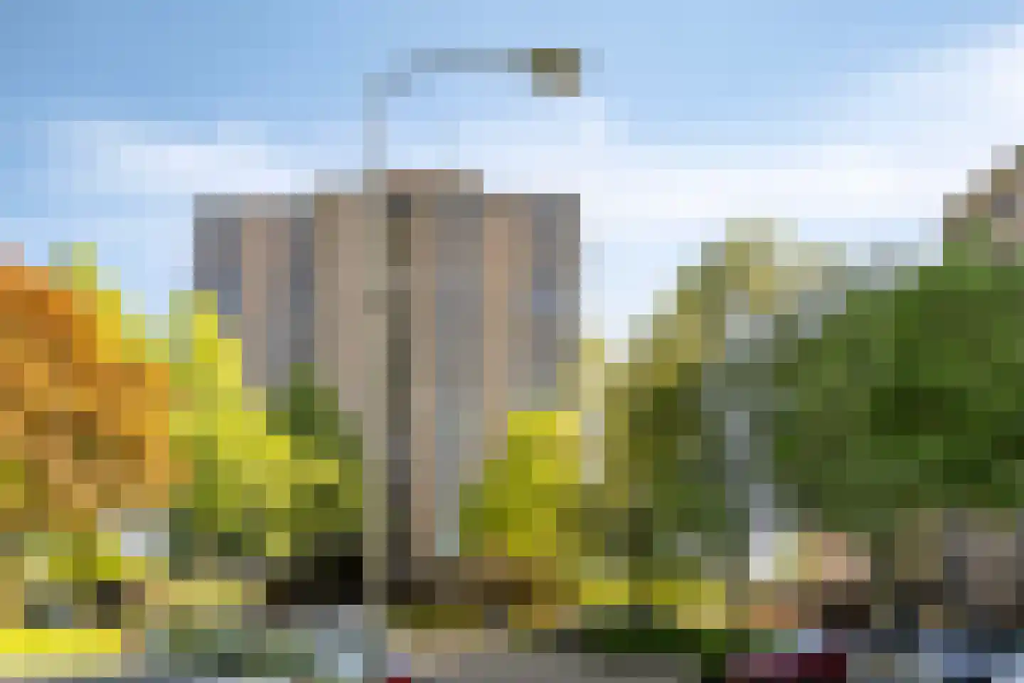 Scottlaan 236 Eindhoven thumbnail 52