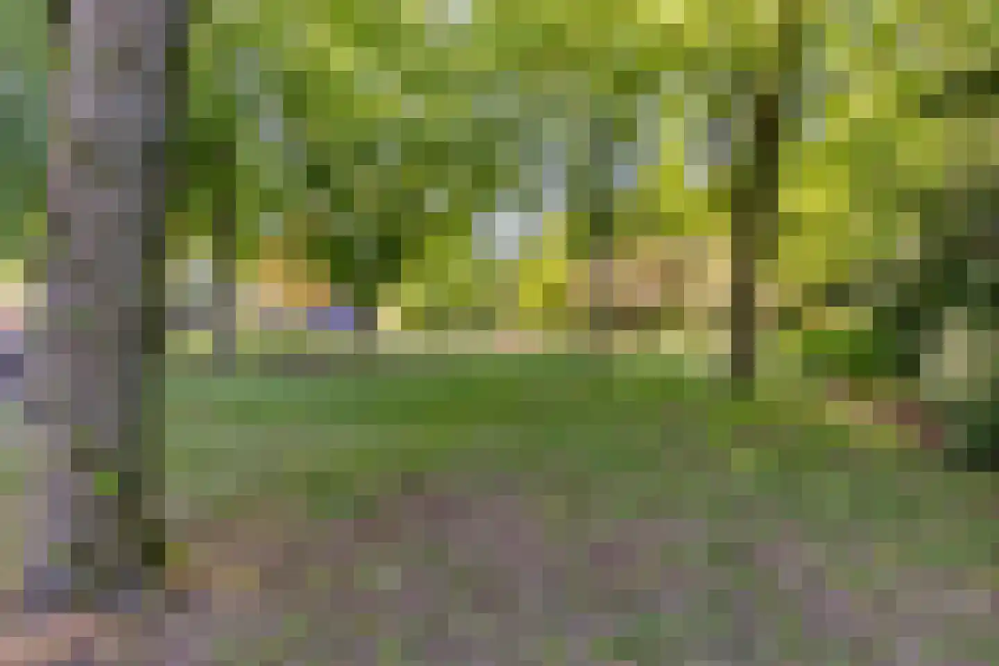 Scottlaan 236 Eindhoven thumbnail 56