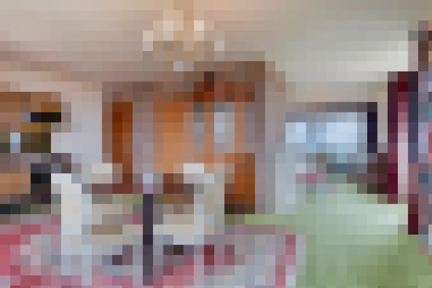 Scottlaan 270 Eindhoven thumbnail 21