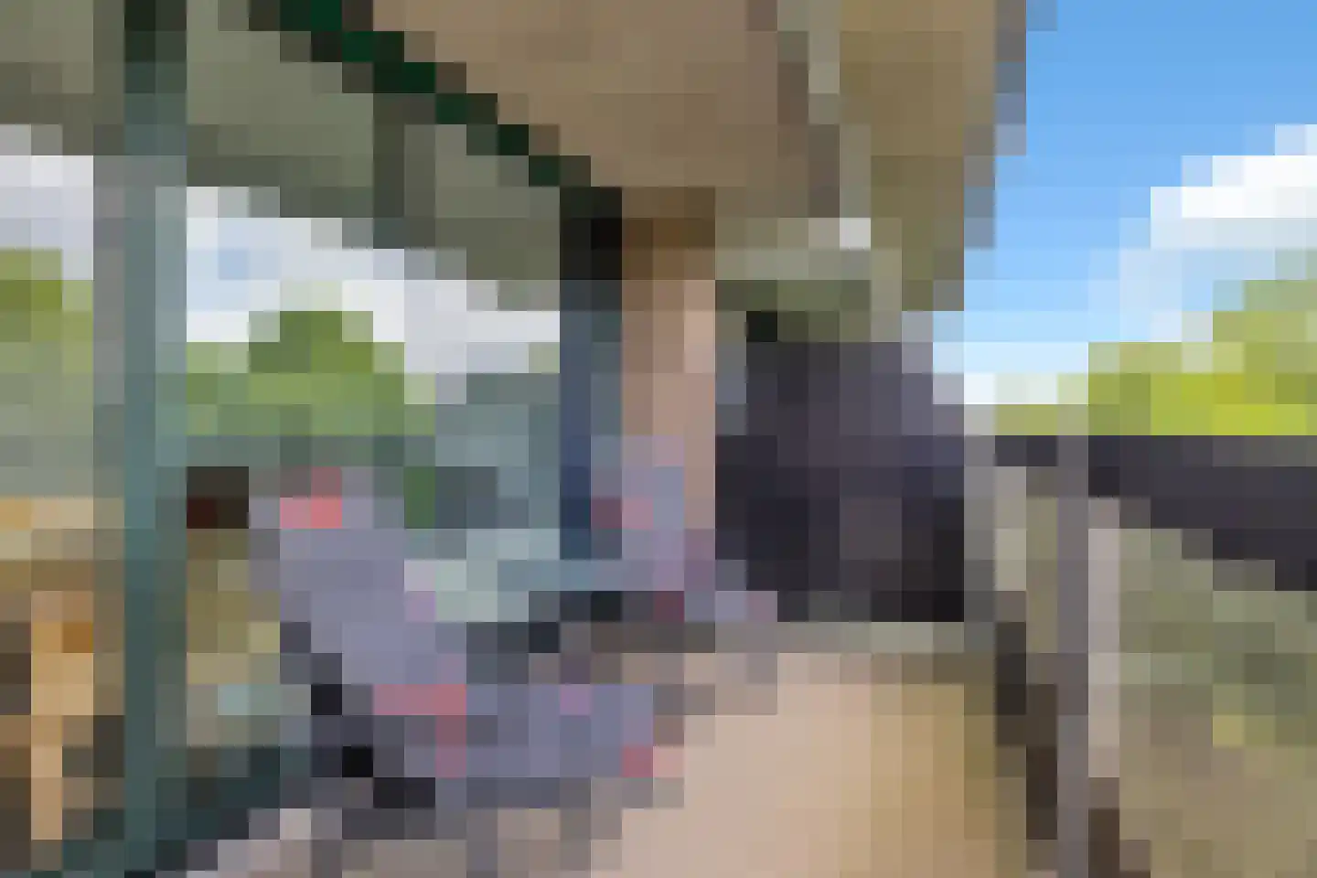 Scottlaan 72 Eindhoven thumbnail 5