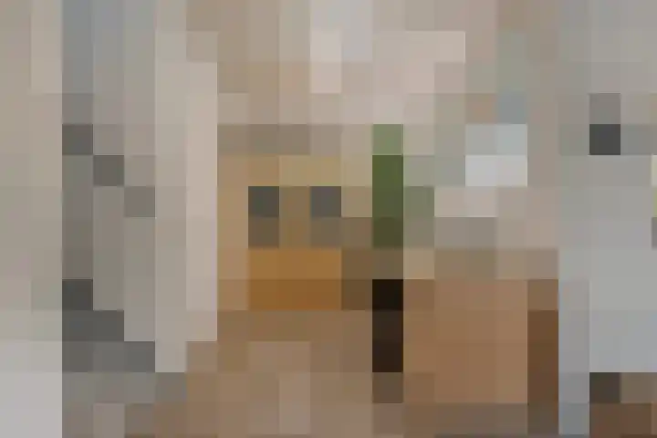 Scottstraat 15 Hulst thumbnail 19