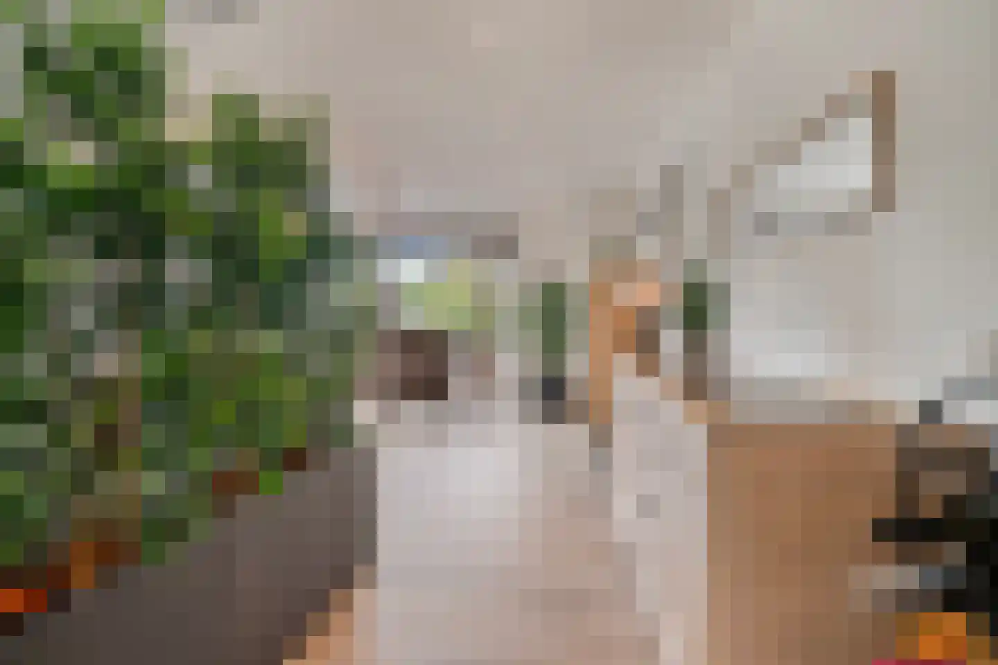 Scottstraat 15 Hulst thumbnail 21