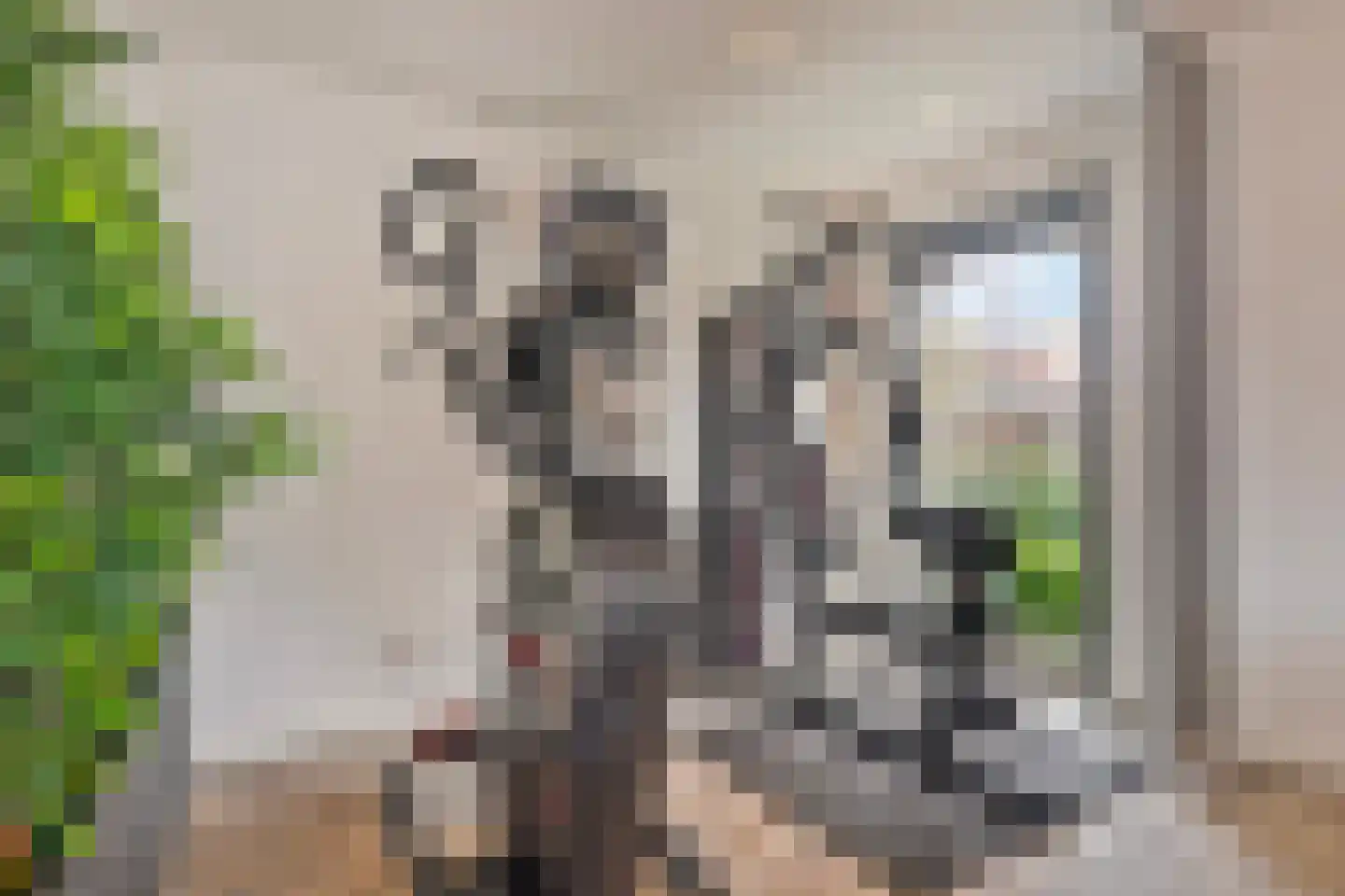 Scottstraat 15 Hulst thumbnail 25