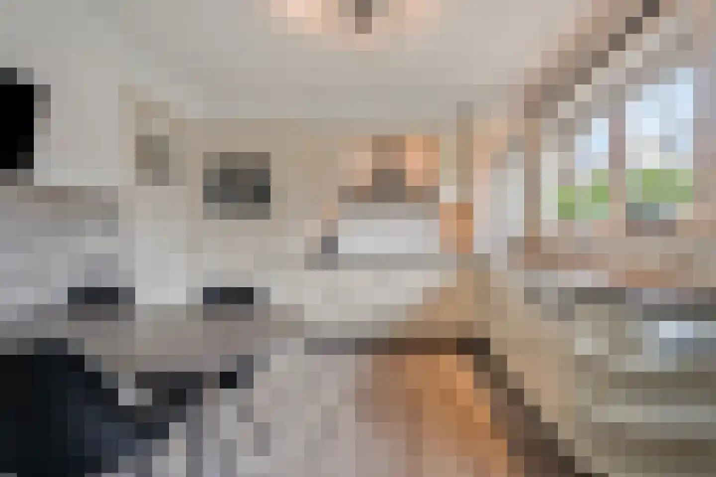 Scottstraat 15 Hulst thumbnail 25