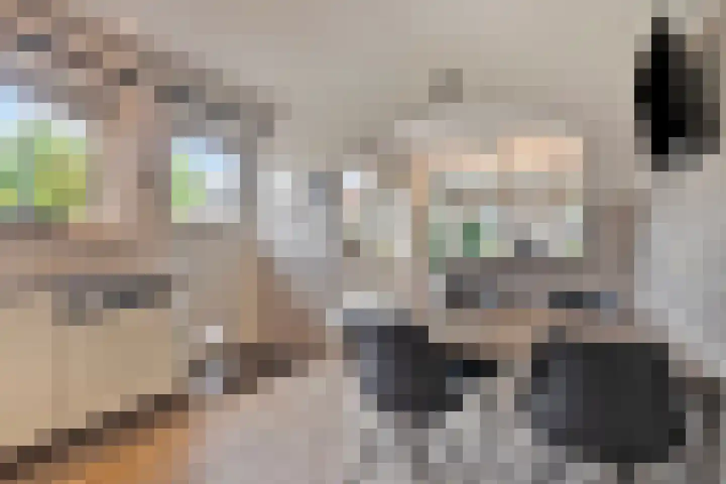 Scottstraat 15 Hulst thumbnail 27