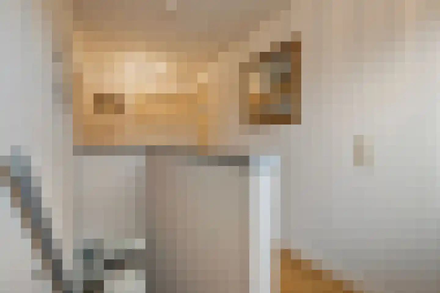 Scottstraat 15 Hulst thumbnail 29