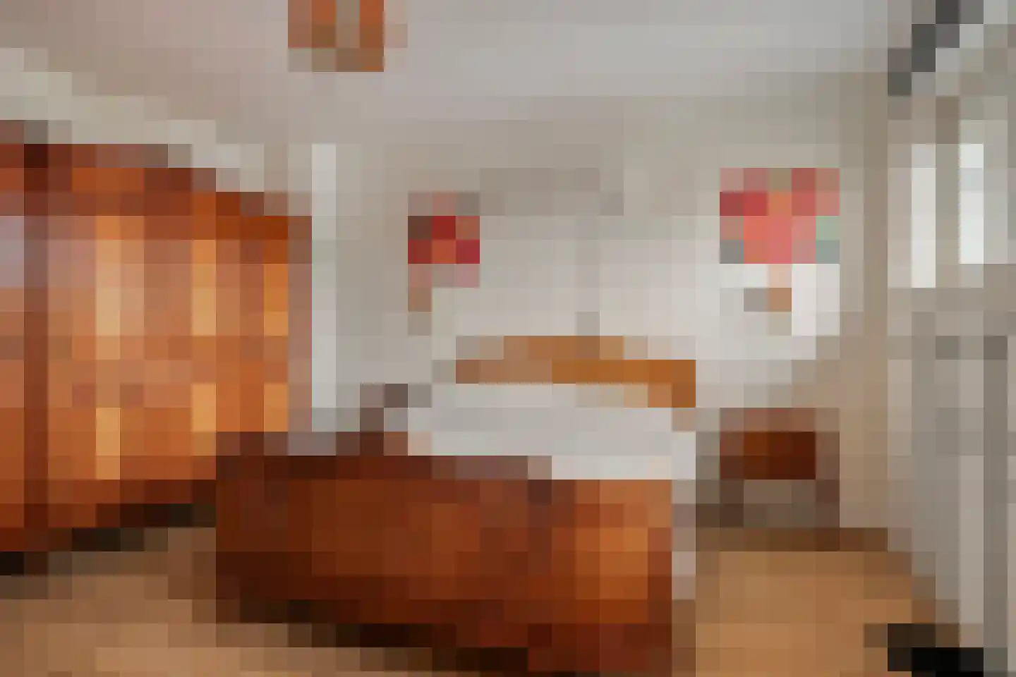 Scottstraat 15 Hulst thumbnail 31