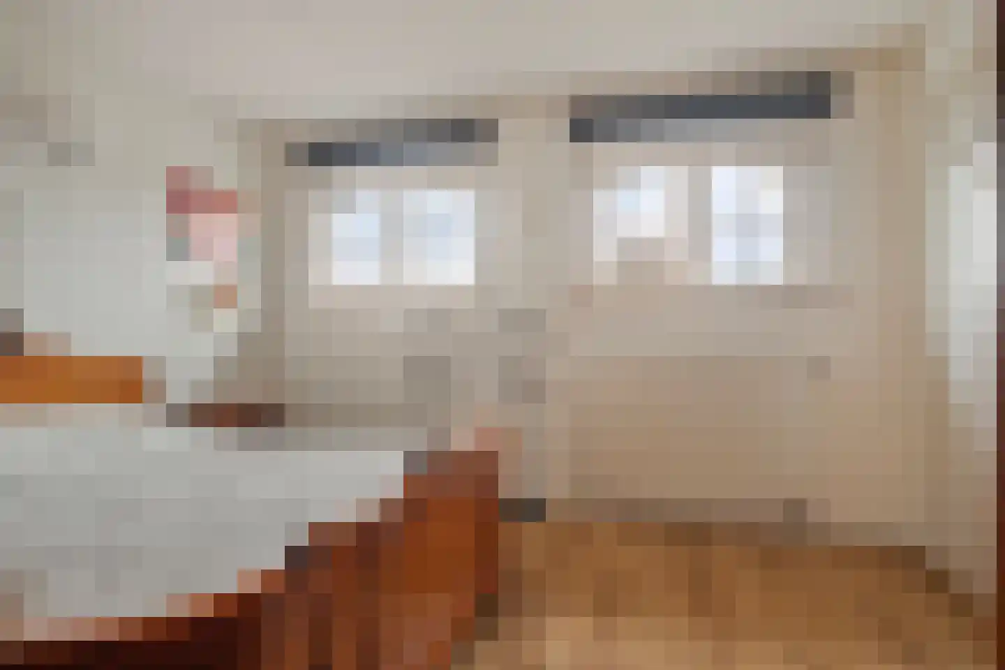 Scottstraat 15 Hulst thumbnail 32
