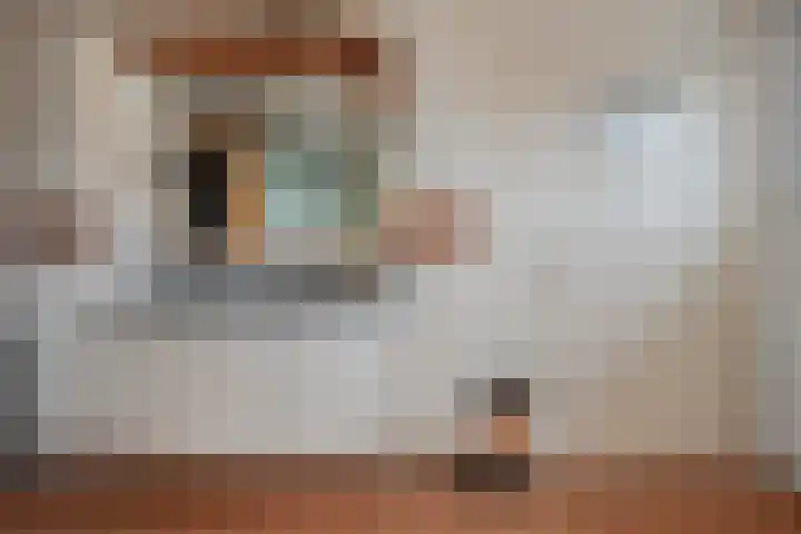 Scottstraat 15 Hulst thumbnail 36