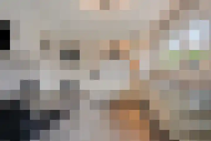 Scottstraat 15 Hulst thumbnail 4
