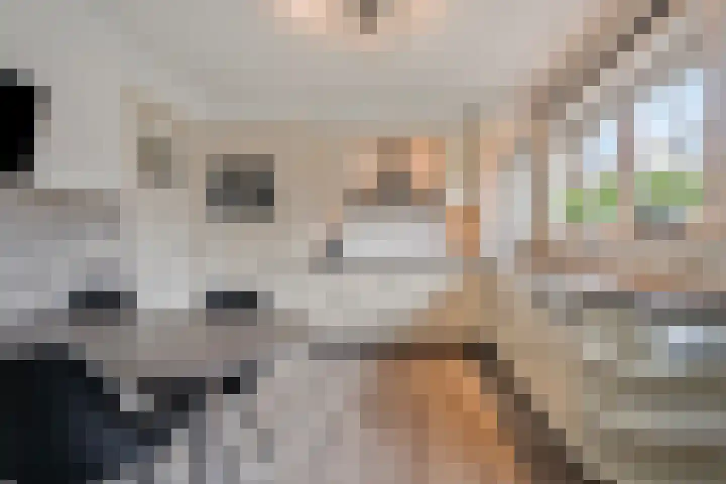 Scottstraat 15 Hulst thumbnail 4