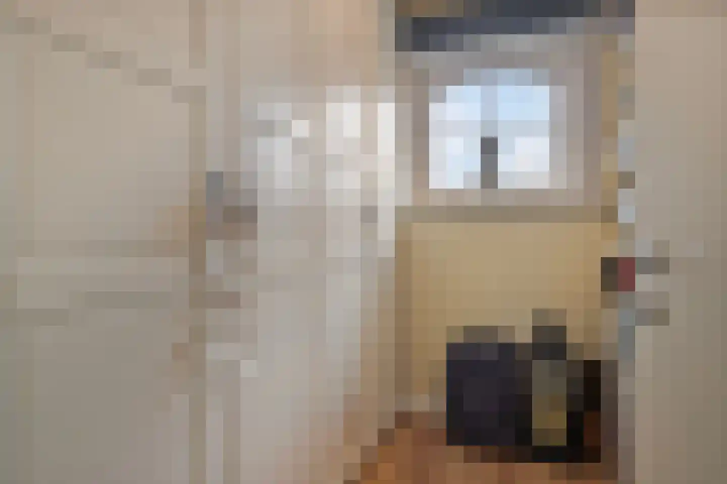 Scottstraat 15 Hulst thumbnail 40