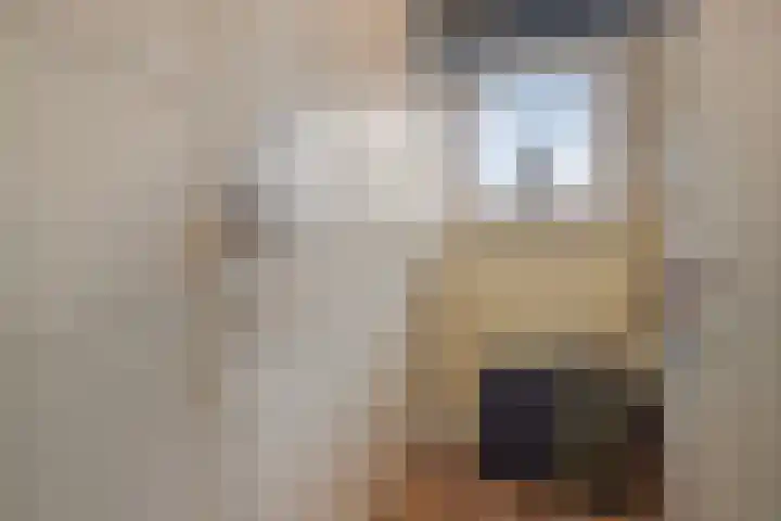 Scottstraat 15 Hulst thumbnail 40
