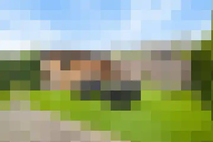 Scottstraat 15 Hulst thumbnail 44