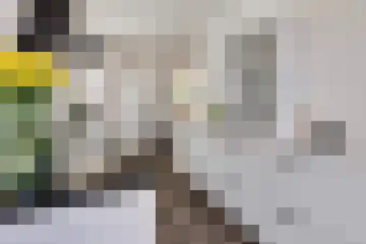 Scottstraat 8 Venlo thumbnail 13