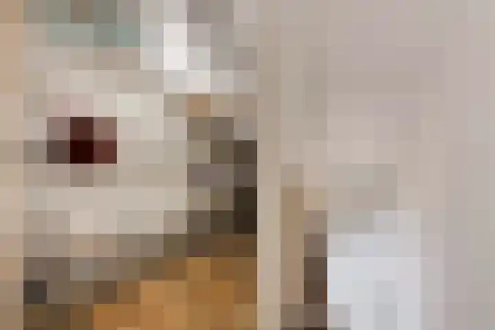 Scottstraat 8 Venlo thumbnail 23