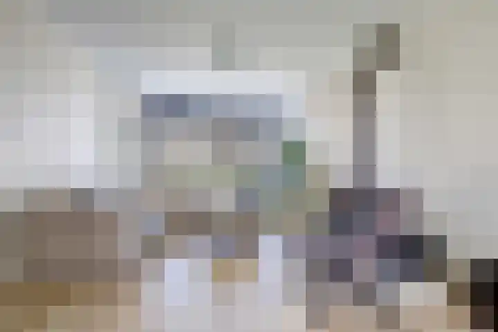 Scoudestraat 9 Krabbendijke thumbnail 10