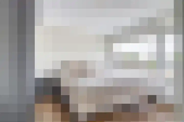 Scoudestraat 9 Krabbendijke thumbnail 20