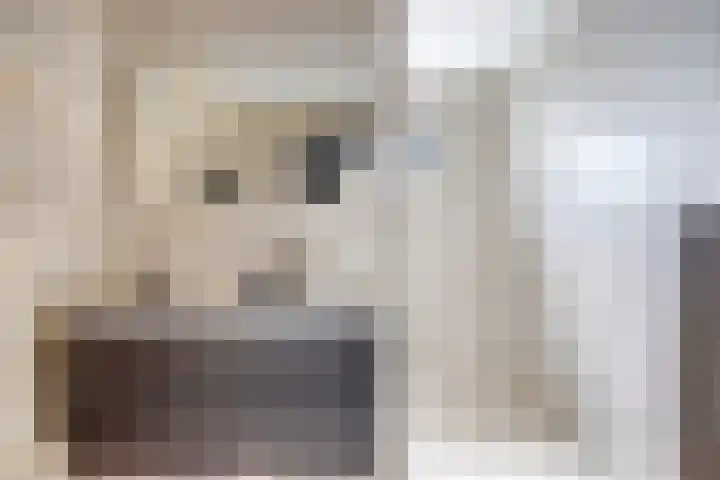 Scoudestraat 9 Krabbendijke thumbnail 23