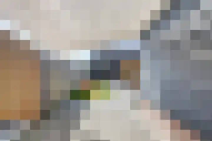 Scoudestraat 9 Krabbendijke thumbnail 26