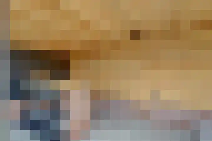 Scoudestraat 9 Krabbendijke thumbnail 27