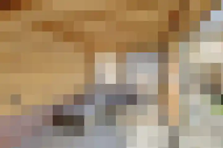 Scoudestraat 9 Krabbendijke thumbnail 28