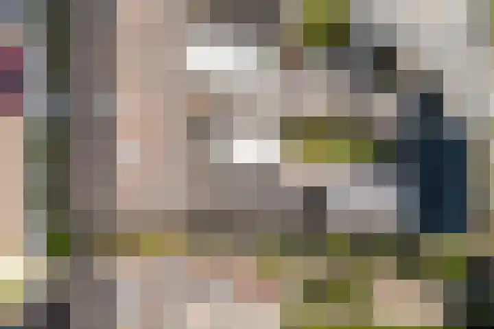 Scoudestraat 9 Krabbendijke thumbnail 32