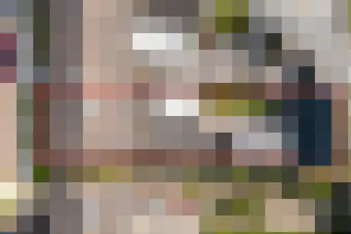 Scoudestraat 9 Krabbendijke thumbnail 33