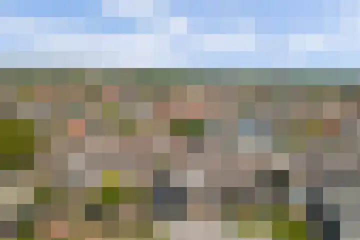 Scoudestraat 9 Krabbendijke thumbnail 34