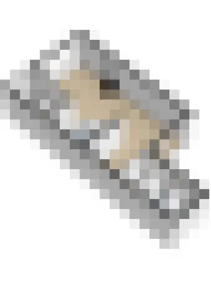Scoudestraat 9 Krabbendijke thumbnail 42