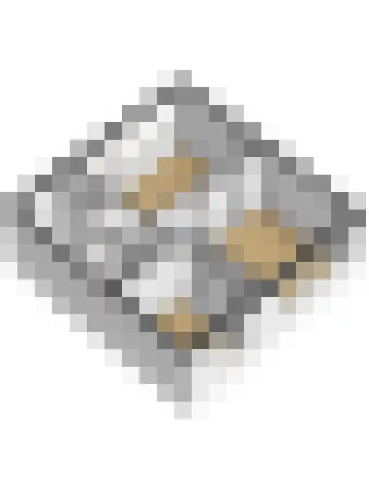 Scoudestraat 9 Krabbendijke thumbnail 43