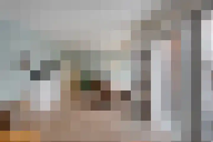 Scriveriusmate 10 Zwolle thumbnail 11