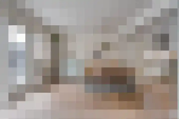 Scriveriusmate 10 Zwolle thumbnail 12