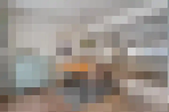 Scriveriusmate 10 Zwolle thumbnail 13