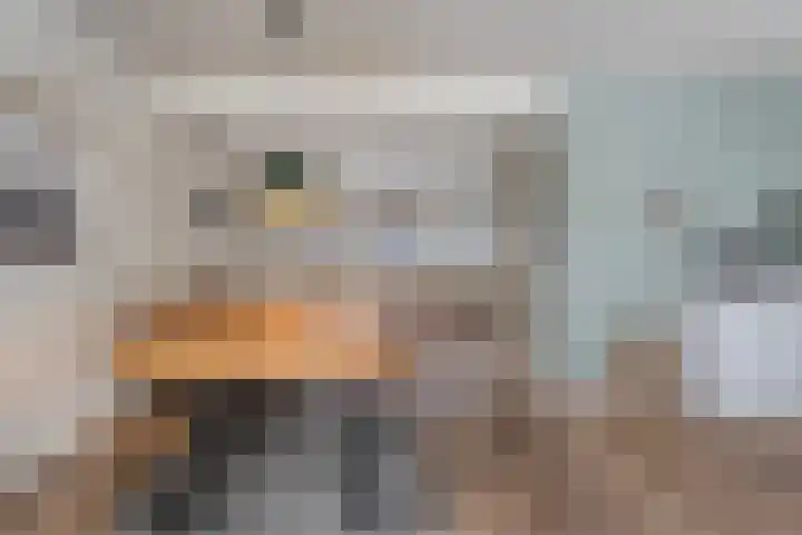 Scriveriusmate 10 Zwolle thumbnail 14