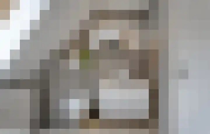 Scriveriusmate 10 Zwolle thumbnail 23