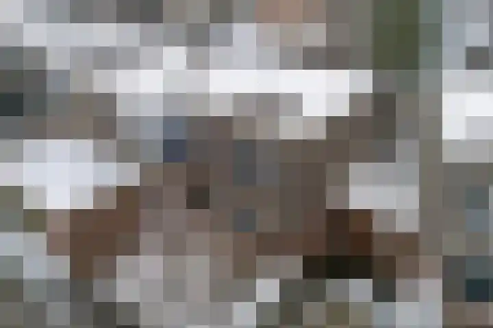 Scriveriusmate 10 Zwolle thumbnail 25