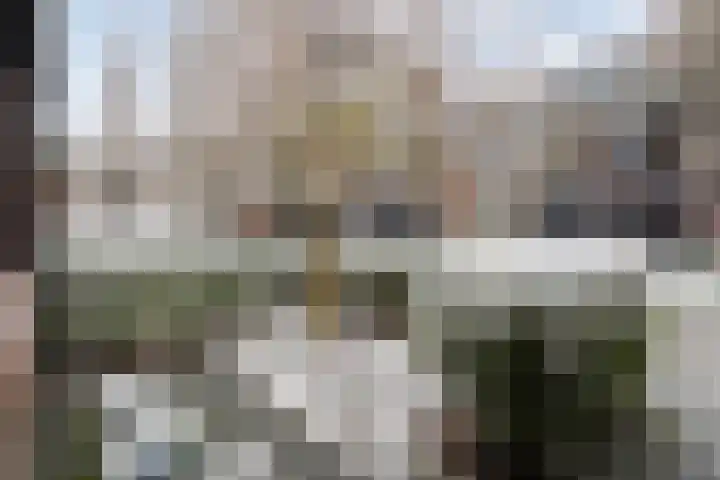 Scriveriusmate 10 Zwolle foto 3