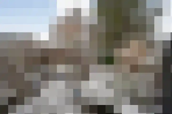 Scriveriusmate 10 Zwolle thumbnail 31