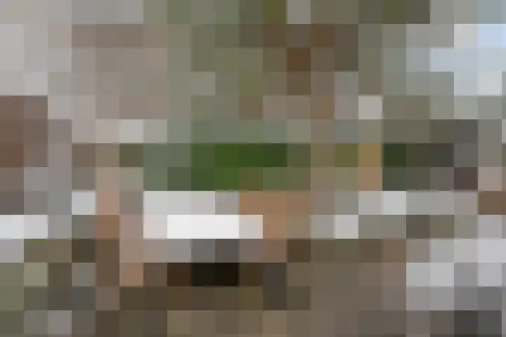 Scriveriusmate 10 Zwolle thumbnail 32