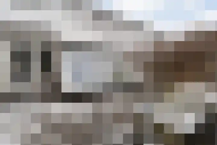 Scriveriusmate 10 Zwolle thumbnail 34