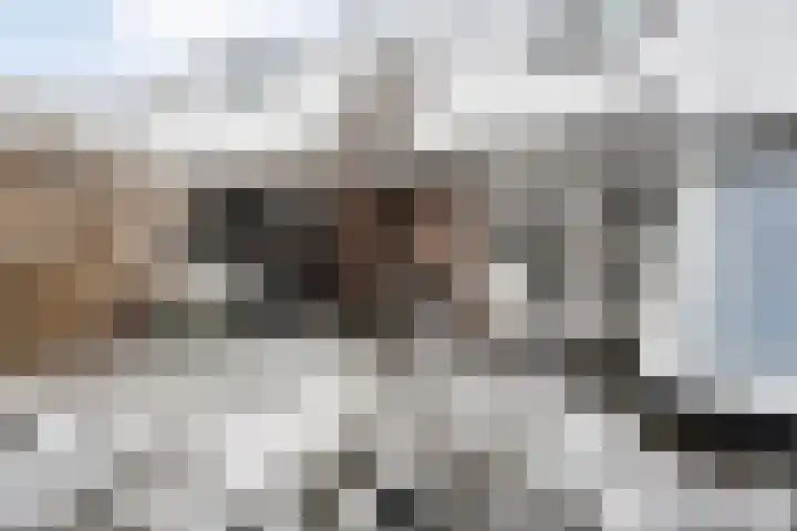 Scriveriusmate 10 Zwolle thumbnail 35