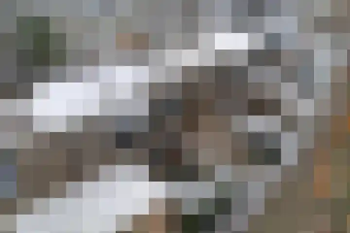 Scriveriusmate 10 Zwolle thumbnail 36