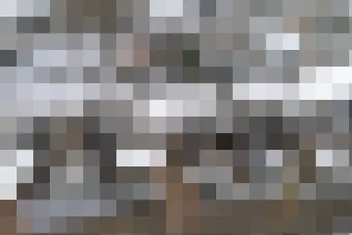 Scriveriusmate 10 Zwolle thumbnail 37