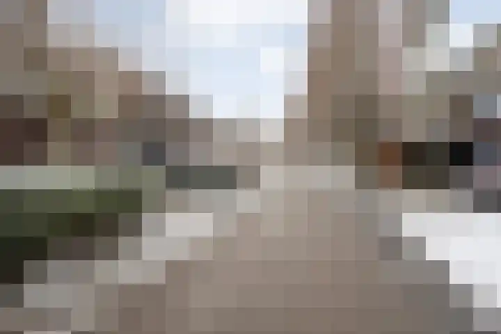 Scriveriusmate 10 Zwolle thumbnail 39