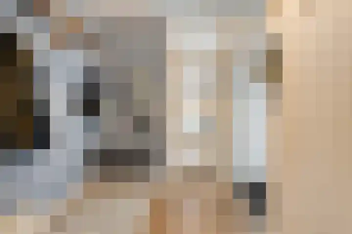 Scriveriusmate 10 Zwolle thumbnail 4