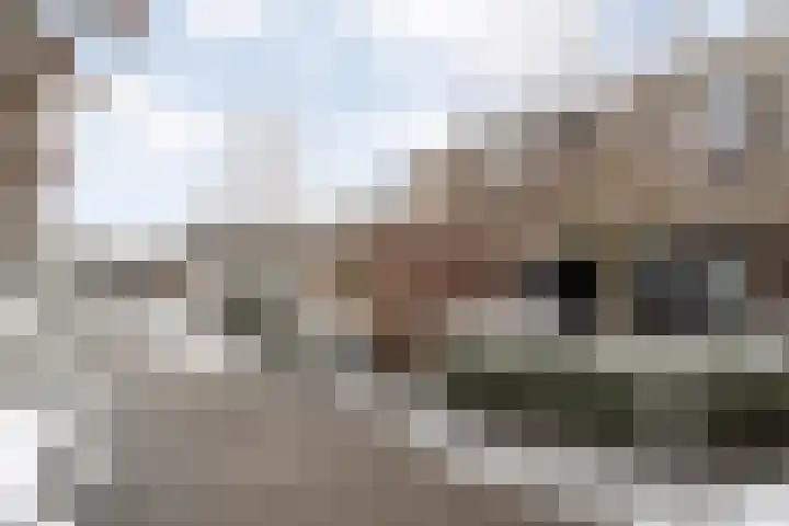 Scriveriusmate 10 Zwolle thumbnail 41