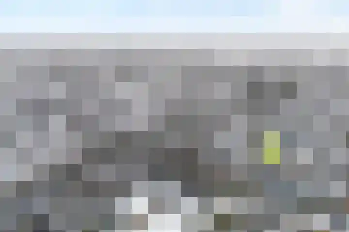 Scriveriusmate 10 Zwolle thumbnail 42