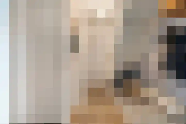 Scriveriusmate 10 Zwolle thumbnail 6
